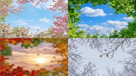 Four seasonal views of a river valley with spring, summer, autumn, and winter landscapes